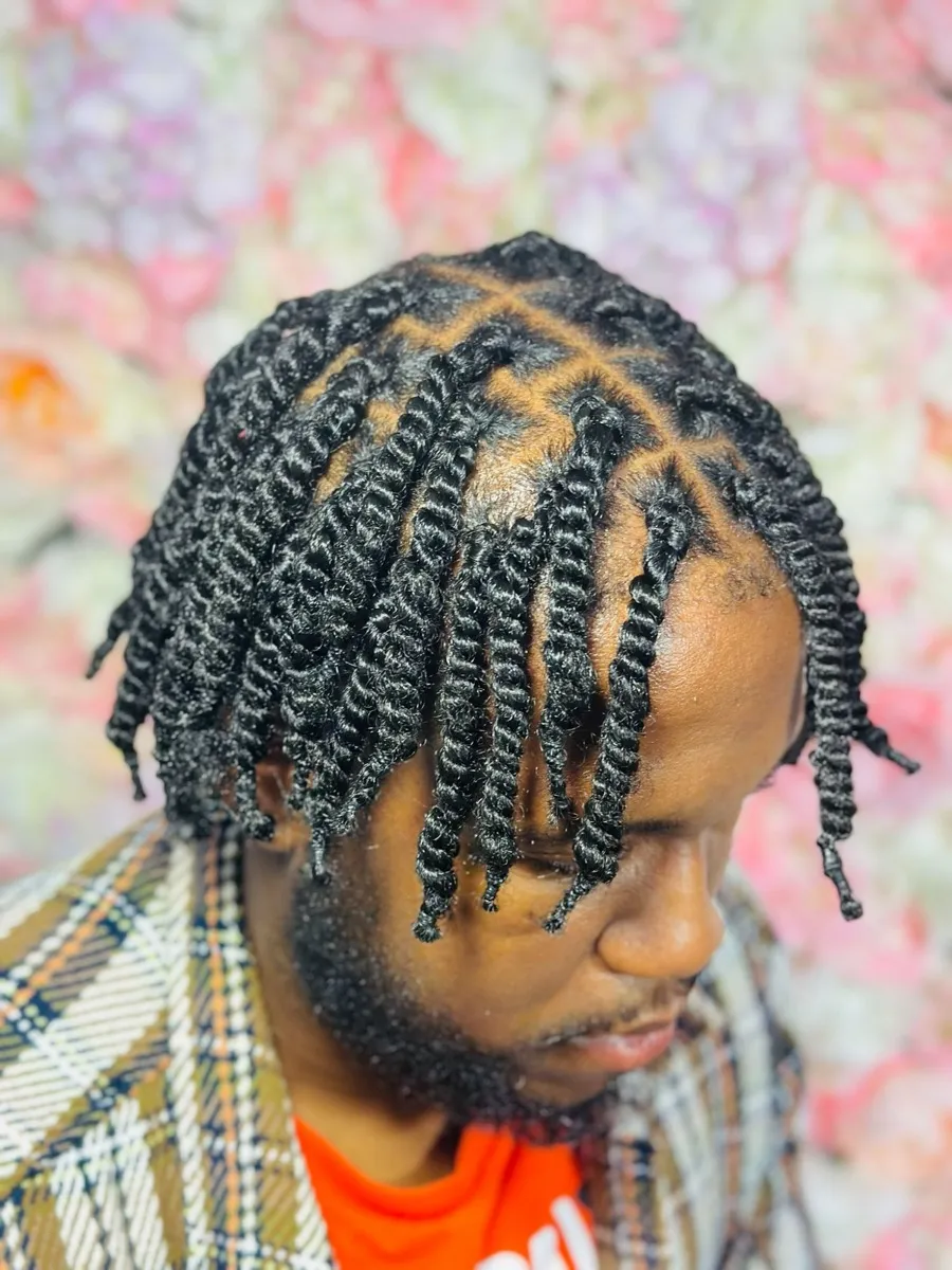 Afro braids hairstyle